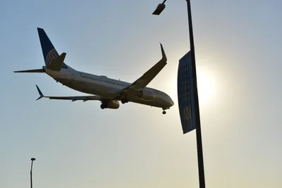 DSC_5672 (Large).JPG